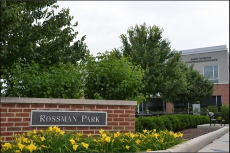 Rossman Park By Psua